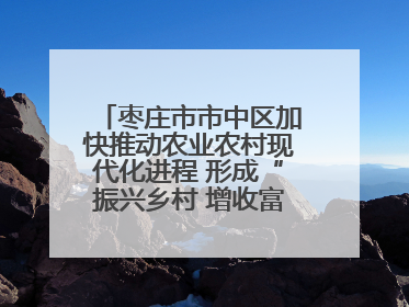 枣庄市市中区加快推动农业农村现代化进程 形成“振兴乡村 增收富农”新格局