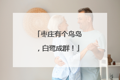 枣庄有个鸟岛，白鹭成群！