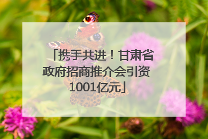 携手共进！甘肃省政府招商推介会引资1001亿元