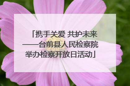 携手关爱 共护未来——台前县人民检察院举办检察开放日活动