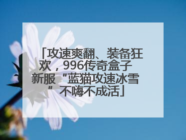 攻速爽翻、装备狂欢，996传奇盒子新服“蓝猫攻速冰雪”不嗨不成活