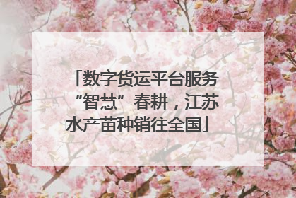 数字货运平台服务“智慧”春耕，江苏水产苗种销往全国
