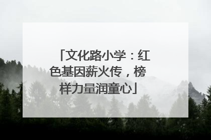 文化路小学：红色基因薪火传，榜样力量润童心