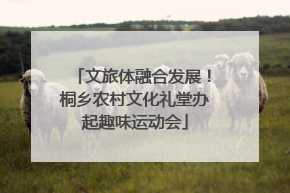 文旅体融合发展！桐乡农村文化礼堂办起趣味运动会