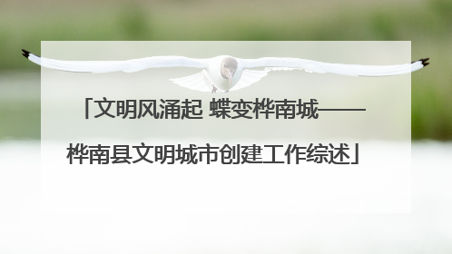 文明风涌起 蝶变桦南城——桦南县文明城市创建工作综述
