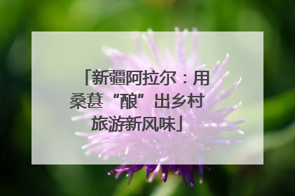 新疆阿拉尔：用桑葚“酿”出乡村旅游新风味