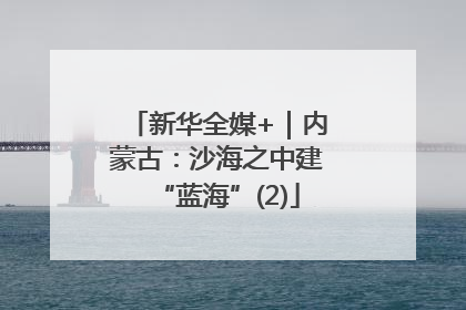 新华全媒+｜内蒙古：沙海之中建“蓝海”(2)