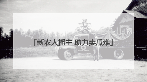 新农人播主 助力卖瓜难