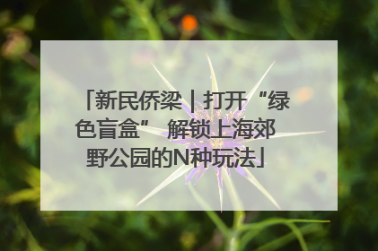 新民侨梁｜打开“绿色盲盒” 解锁上海郊野公园的N种玩法