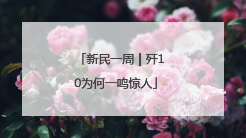 新民一周｜歼10为何一鸣惊人