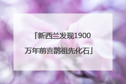 新西兰发现1900万年前喜鹊祖先化石