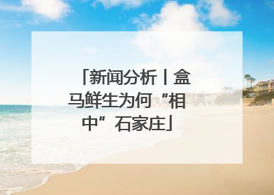 新闻分析丨盒马鲜生为何“相中”石家庄