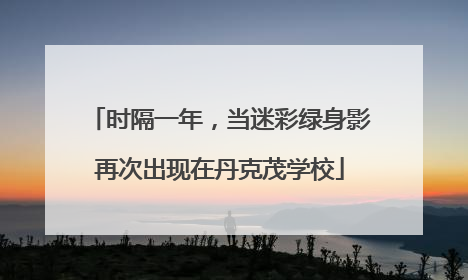 时隔一年，当迷彩绿身影再次出现在丹克茂学校