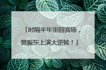 时隔半年重回赛场，樊振东上演大逆转！