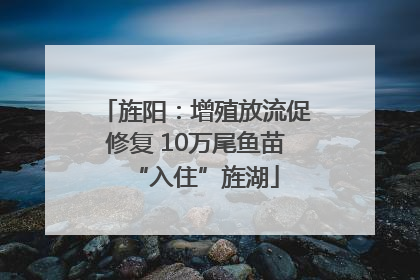 旌阳：增殖放流促修复 10万尾鱼苗“入住”旌湖