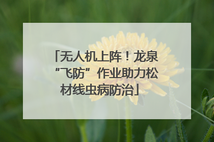 无人机上阵！龙泉“飞防”作业助力松材线虫病防治