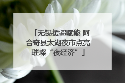 无锡援疆赋能 阿合奇县太湖夜市点亮璀璨“夜经济”