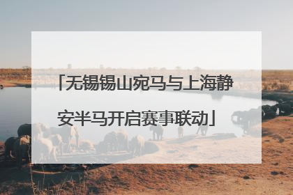无锡锡山宛马与上海静安半马开启赛事联动