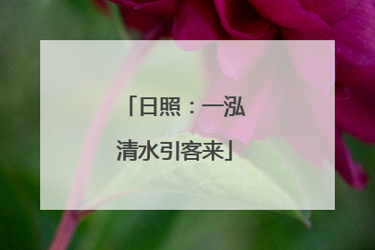 日照：一泓清水引客来