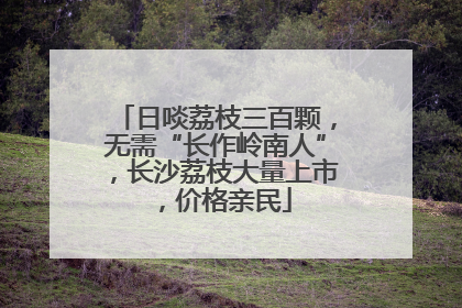 日啖荔枝三百颗，无需“长作岭南人”，长沙荔枝大量上市，价格亲民
