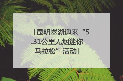 昆明翠湖迎来“5.31公里无烟迷你马拉松”活动