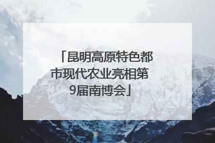 昆明高原特色都市现代农业亮相第9届南博会