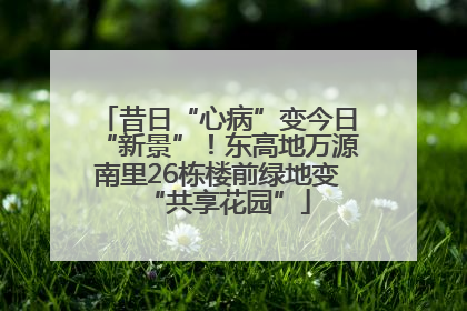 昔日“心病”变今日“新景”！东高地万源南里26栋楼前绿地变“共享花园”
