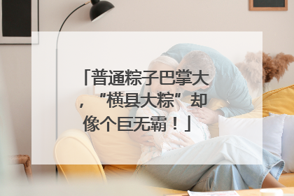 普通粽子巴掌大，“横县大粽”却像个巨无霸！