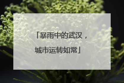 暴雨中的武汉，城市运转如常