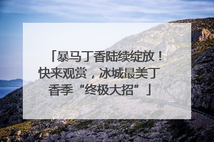 暴马丁香陆续绽放！快来观赏，冰城最美丁香季“终极大招”