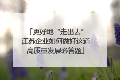 更好地“走出去” 江苏企业如何做好这道高质量发展必答题