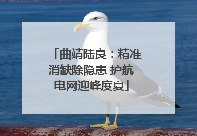 曲靖陆良：精准消缺除隐患 护航电网迎峰度夏