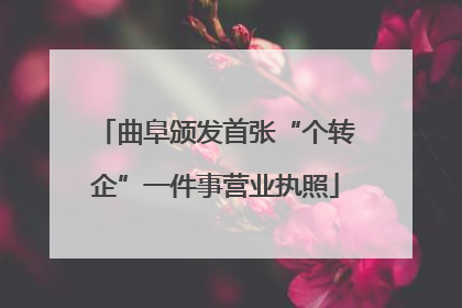 曲阜颁发首张“个转企”一件事营业执照