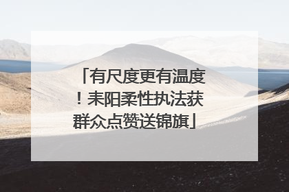 有尺度更有温度！耒阳柔性执法获群众点赞送锦旗