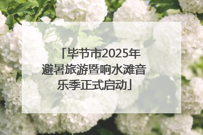 毕节市2025年避暑旅游暨响水滩音乐季正式启动