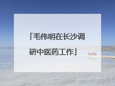 毛伟明在长沙调研中医药工作