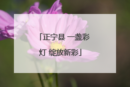 正宁县 一盏彩灯 绽放新彩