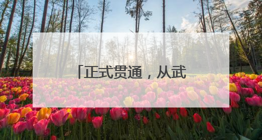 正式贯通，从武汉3小时直达