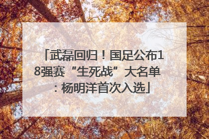 武磊回归！国足公布18强赛“生死战”大名单：杨明洋首次入选