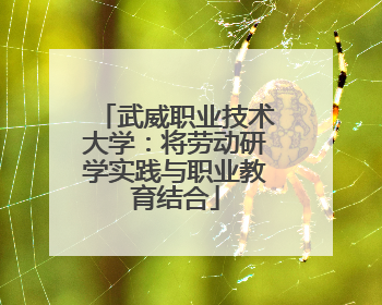 武威职业技术大学：将劳动研学实践与职业教育结合