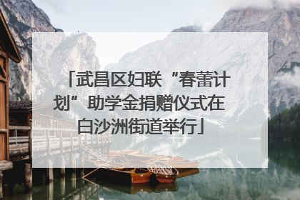 武昌区妇联“春蕾计划”助学金捐赠仪式在白沙洲街道举行