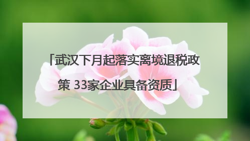 武汉下月起落实离境退税政策 33家企业具备资质