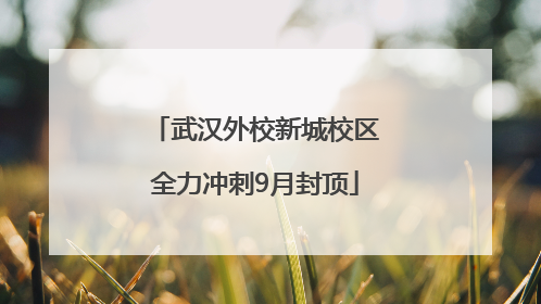 武汉外校新城校区全力冲刺9月封顶