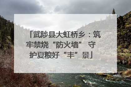 武陟县大虹桥乡：筑牢禁烧“防火墙” 守护夏粮好“丰”景