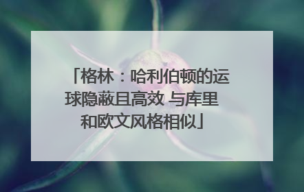 格林：哈利伯顿的运球隐蔽且高效 与库里和欧文风格相似