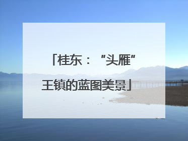 桂东：“头雁”王镇的蓝图美景