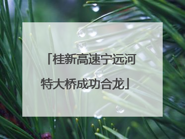 桂新高速宁远河特大桥成功合龙