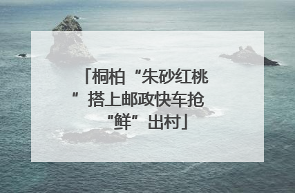 桐柏“朱砂红桃”搭上邮政快车抢“鲜”出村