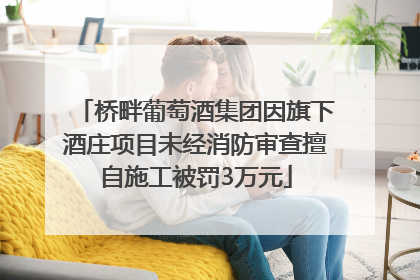 桥畔葡萄酒集团因旗下酒庄项目未经消防审查擅自施工被罚3万元