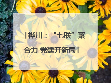 桦川：“七联”聚合力 党建开新局